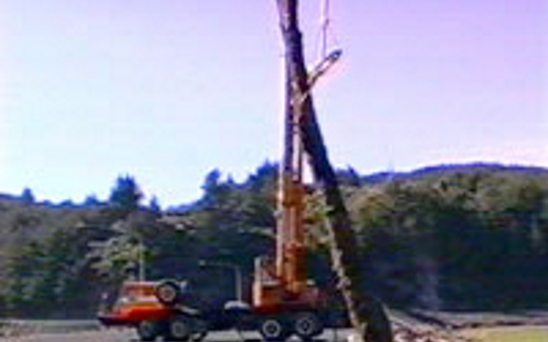 crane800x500